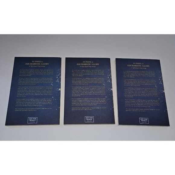 8 Paperback Books Lot 33 Days to Eucharistic Glory Catholic DUPLICATES - Picture 8 of 12